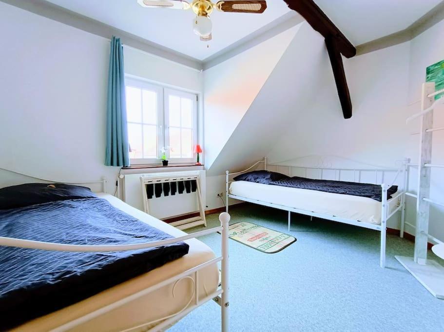 Ruhiges Exzellenz-Appartement Diana Im Elb-Urstromtal - Fast Wlan, Good For Long-Terms Bleckede Bagian luar foto