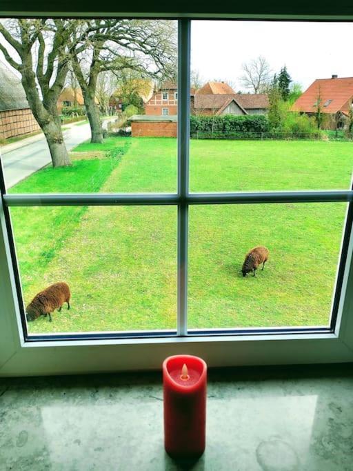 Ruhiges Exzellenz-Appartement Diana Im Elb-Urstromtal - Fast Wlan, Good For Long-Terms Bleckede Bagian luar foto