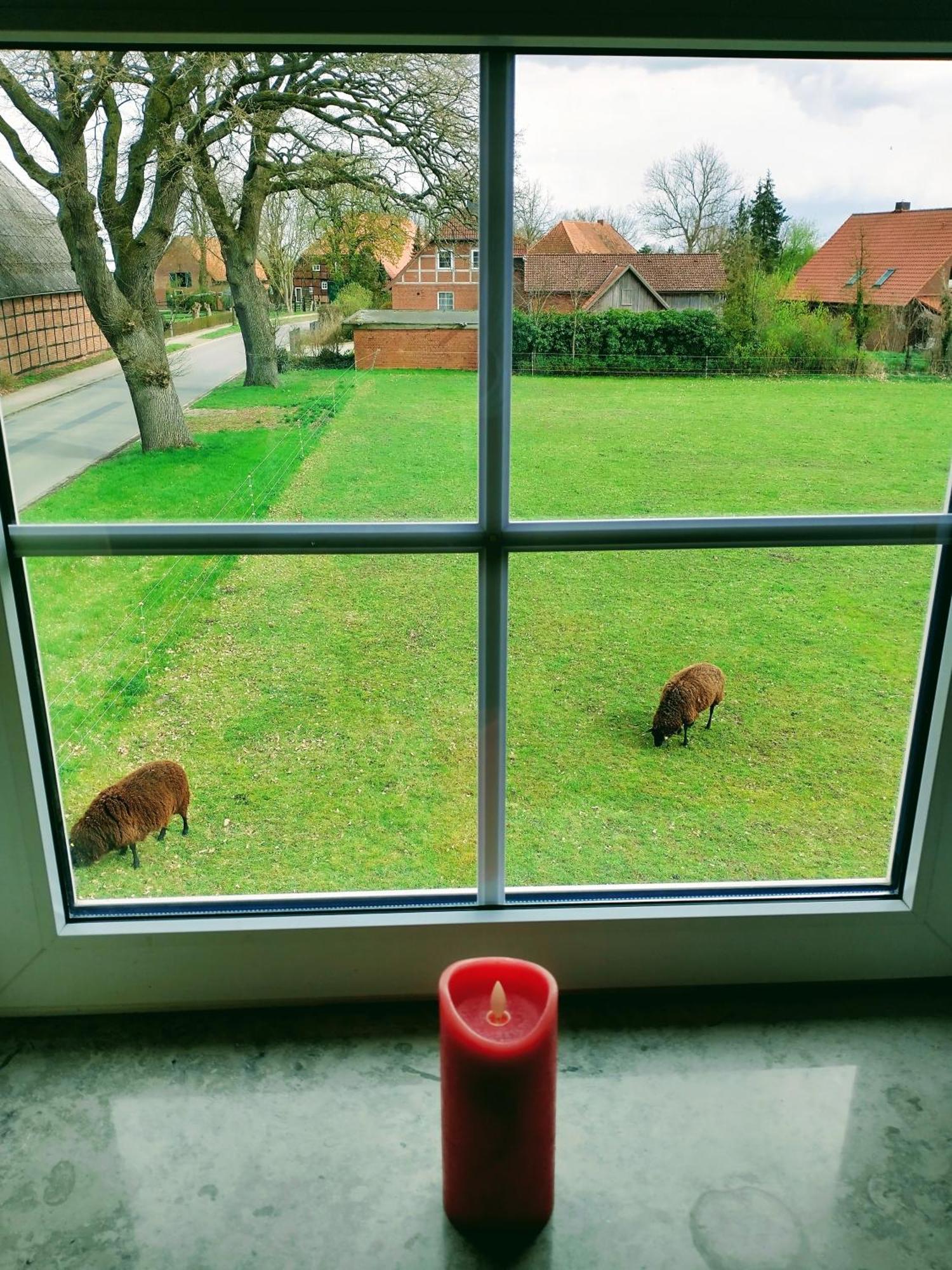 Ruhiges Exzellenz-Appartement Diana Im Elb-Urstromtal - Fast Wlan, Good For Long-Terms Bleckede Bagian luar foto